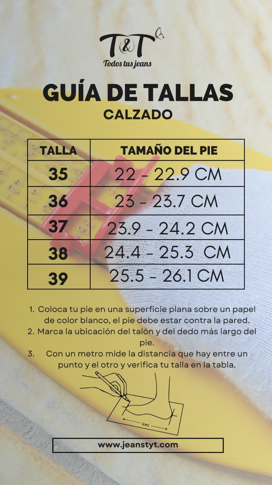 Zapato Stilleto CASSEL
